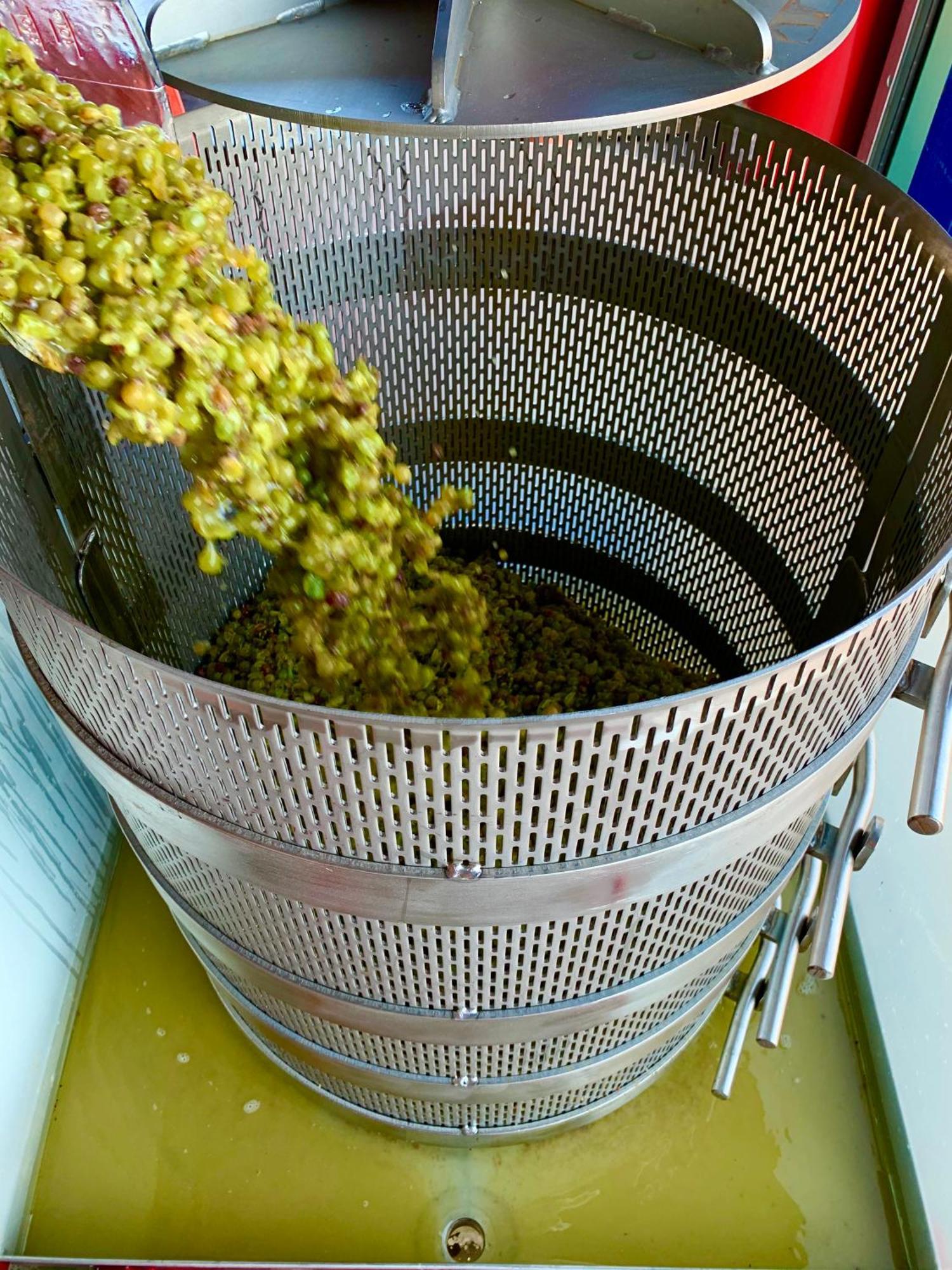 לינה וארוחת בוקר טמקולה Domaine Chardonnay מראה חיצוני תמונה